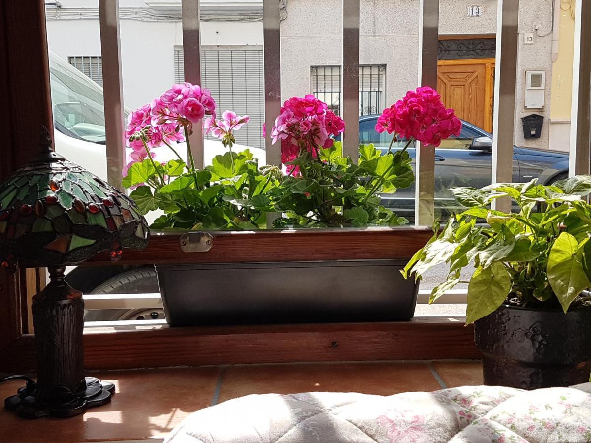 Bed & Breakfast Белрегуарт Екстериор снимка